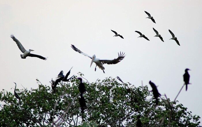 Start your Vietnam Travel with nature’s morning symphony